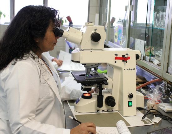 Sweden's Cellcolabs Secures €10.3 Million for Stem Cell Production