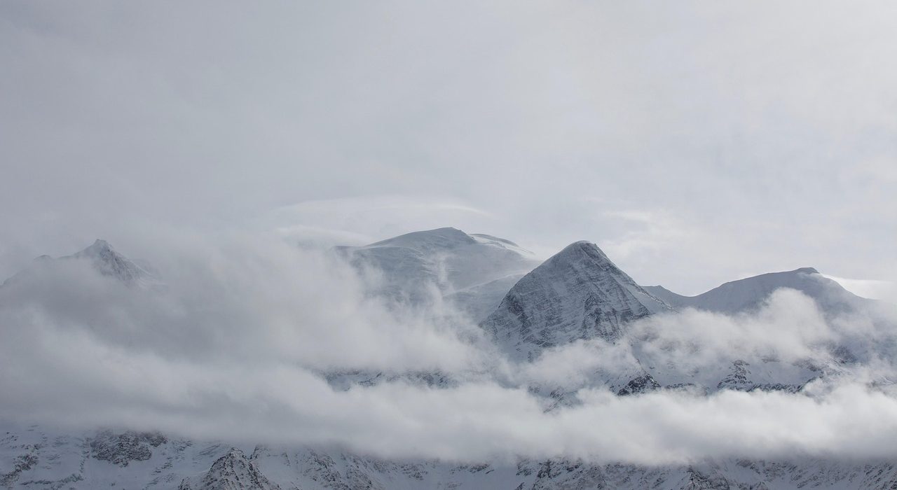 US Tech Elite Plans "Freedom Cities" in Greenland if Trump Wins