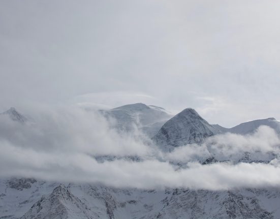 US Tech Elite Plans "Freedom Cities" in Greenland if Trump Wins