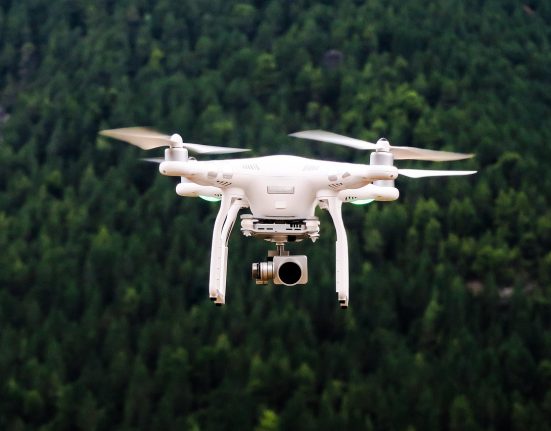 Flox Intelligence secures €2.5 million for wildlife protection