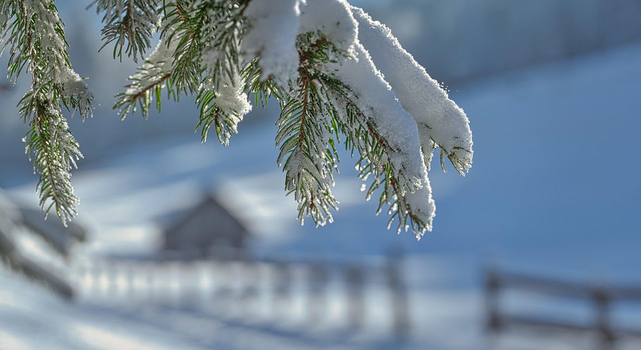 Scania Develops Hydrogen-Powered Snow Plow for Winter Use