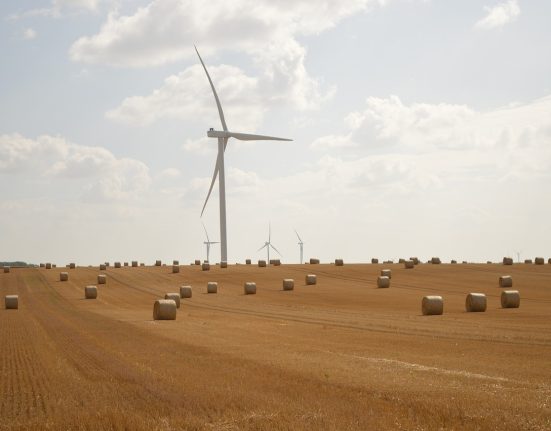 Wind Power Investments in Sweden Plummet to Near Zero